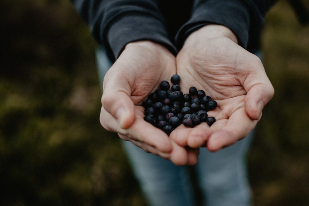 image of a handful of berries.