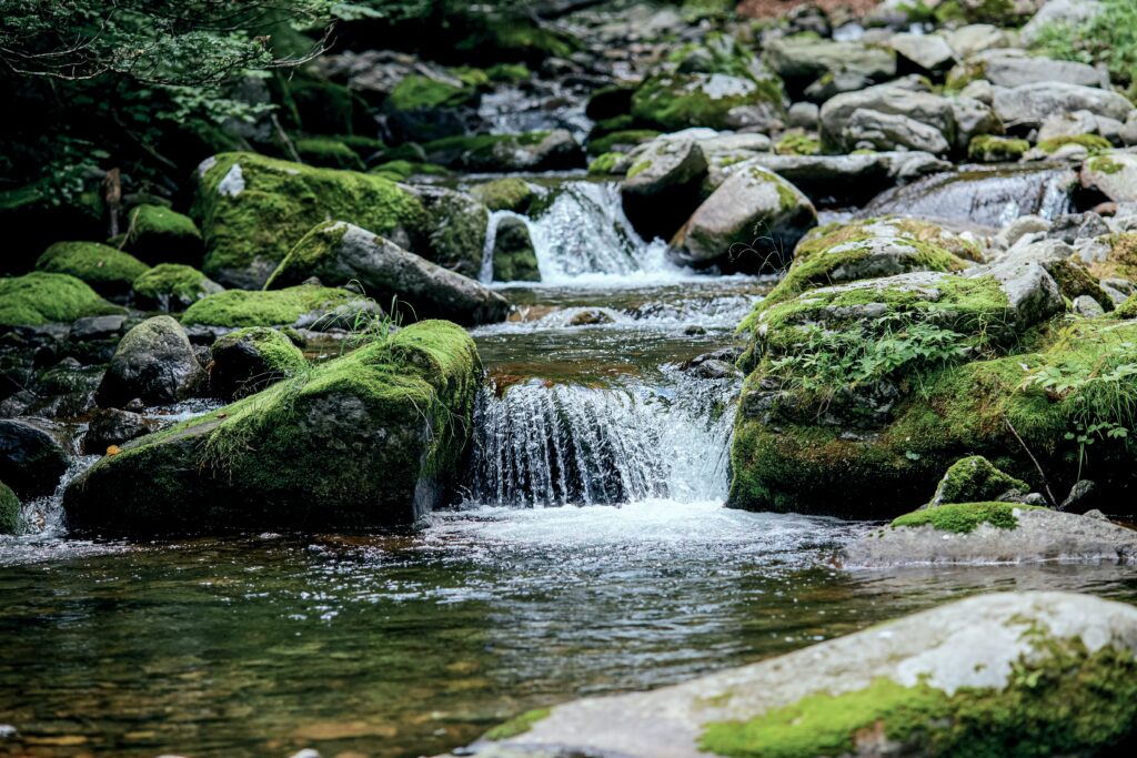 image of a river flowing through..