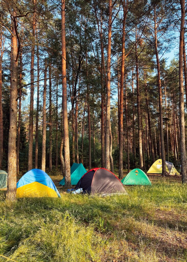 image of tents in the woods.